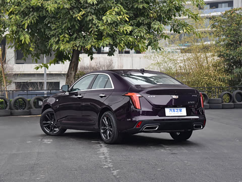 2023�� 25T ������