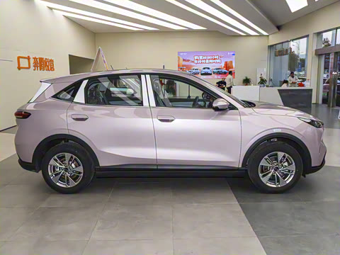 2025�� 565km ������