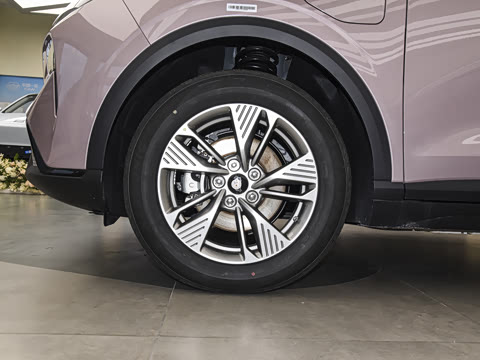 2025�� 565km ������