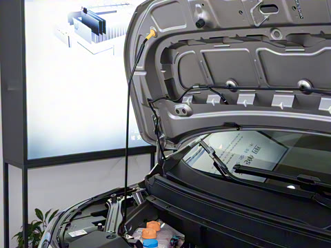 2025�� Plus 430 ������