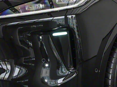 2025�� ���� Max ������