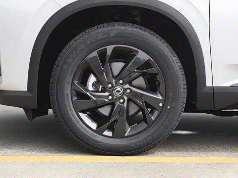 2025�� 518�����͹ھ���