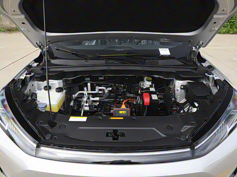 2025�� 518�����͹ھ���