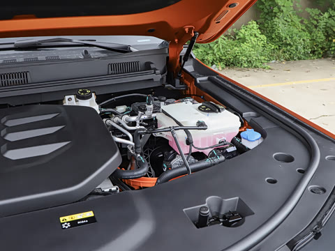 2025�� ��Ұ�� 6��