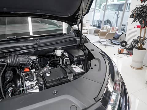 2025�� ���� �������������� ����