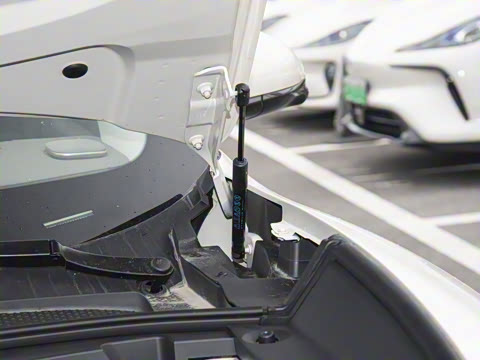 2026�� ���� 66 Max