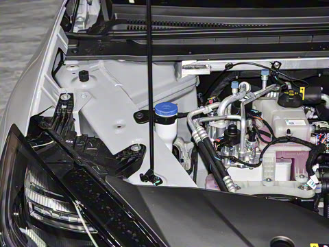 2026�� 520�Ǻ���