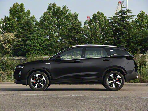 2020�� 1.6TGDI �Զ��콢��