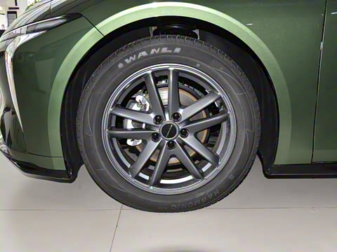 2025�� 555�Ǵ���