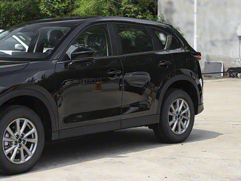 2025�� 2.0L �Զ�����������