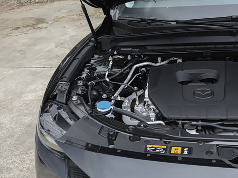 2026�� 2.5L ���а�