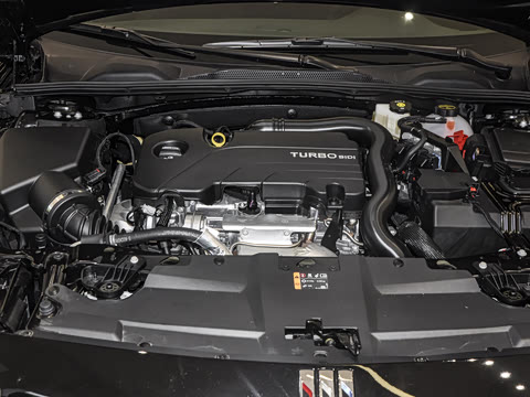 2025�� 25T ������