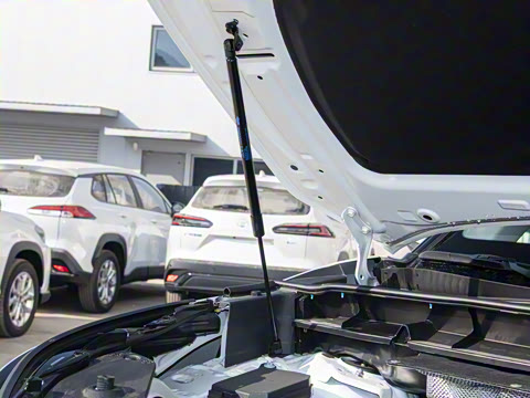 2026�� 380T ���������� 7��