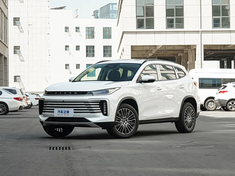 2025�� 300T ������ҹ��