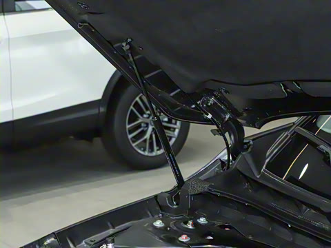 2026�� �������� 2.0L �����ʰ�