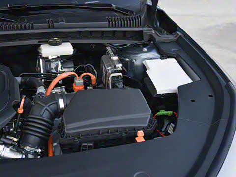 2026�� 125kmԶ����