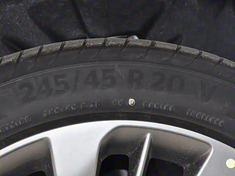 2026�� ������Plus ����Avenir��ά��