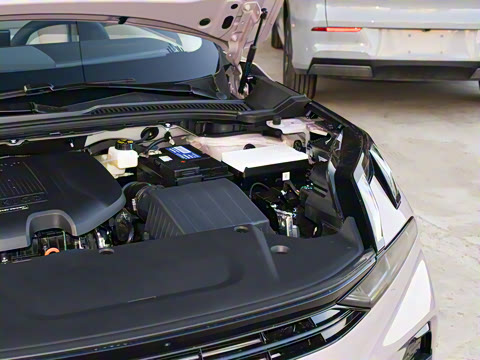 2026�� Relive 1.5T Max