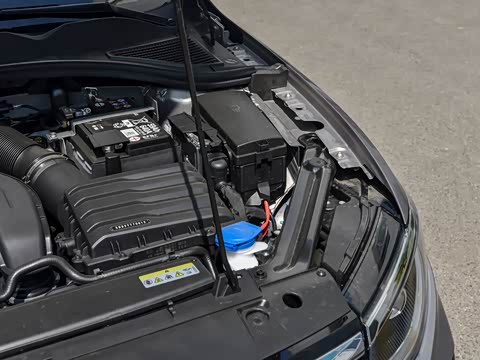 2025�� �Ŀ� 300TSI DSG���а�