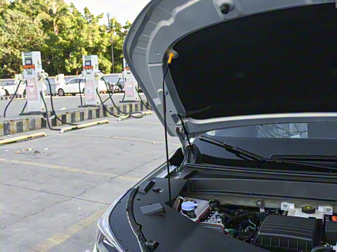 2026�� 210 ���װ�