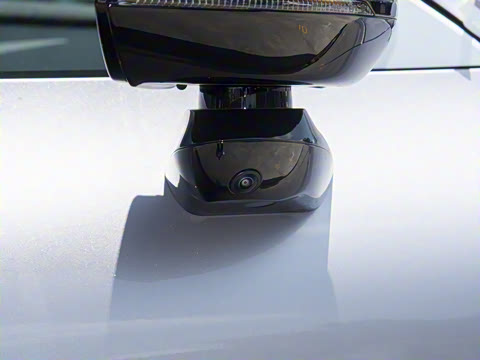 2026�� ������������Plus