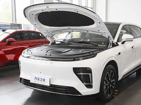 2025�� ���� 265 Max��������������ʻ