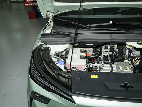 2025�� 565km �����