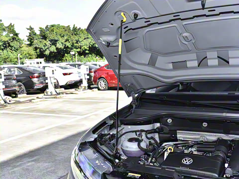 2026�� 280TSI �Զ��ȷ��