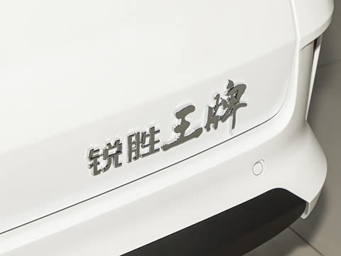 2025�� 2.0L �ֶ���������� 9��