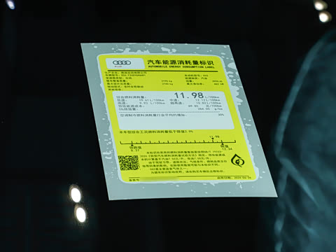 2025��  RS 6 4.0T Avant performance