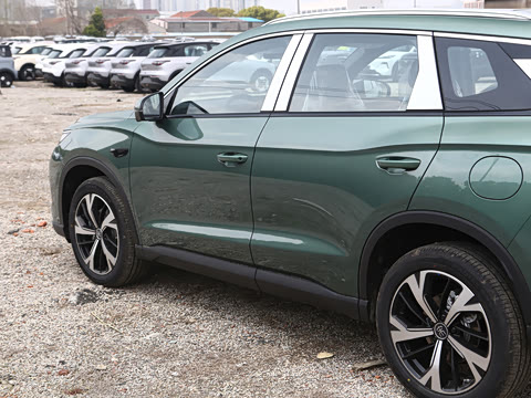 2026�� DM-i 220KM��Խ��