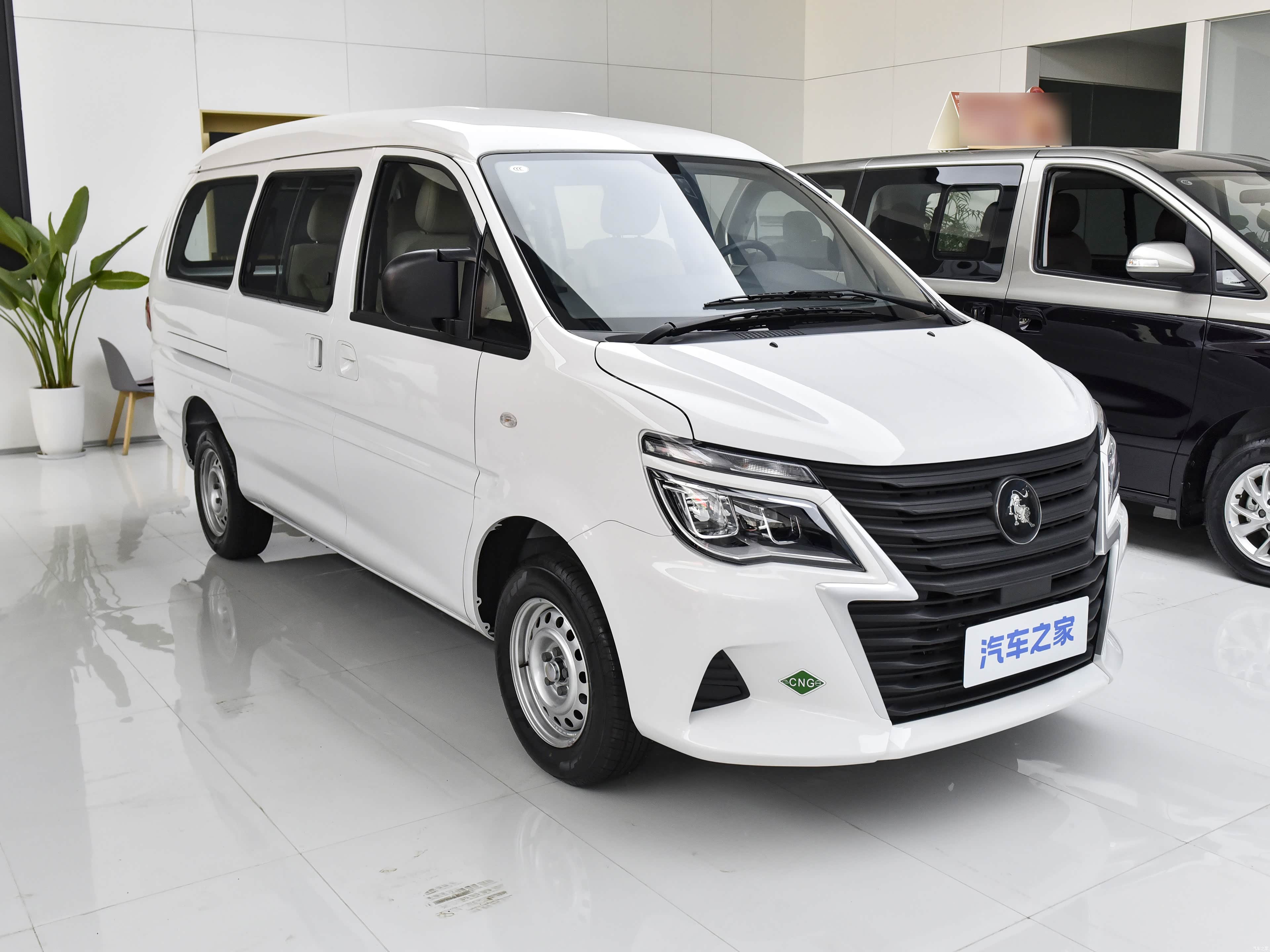 Forthing Lingzhi, миниатюра 3