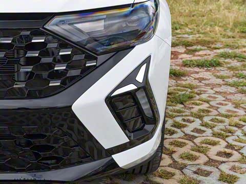 2026�� 280TSI �Զ��ȷ��