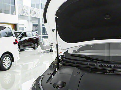 2025�� ������ ����������