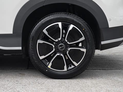 2026�� DM-i �Ǻ���