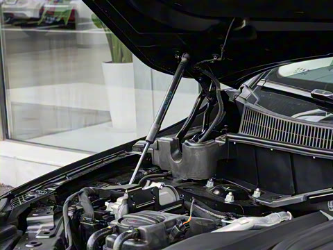 2025�� 2.0T PHEV ����200��������� 7��