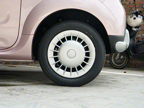 2025�� ������