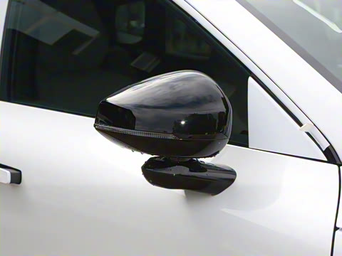 2026�� ������������Plus