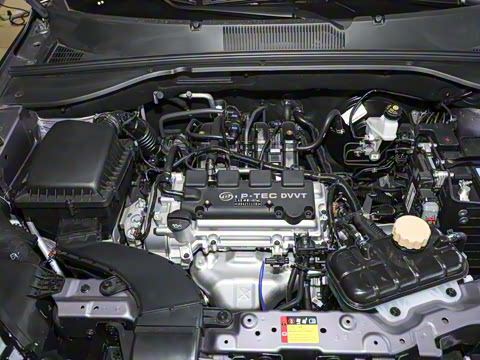 2026�� 1.5L �ֶ�������