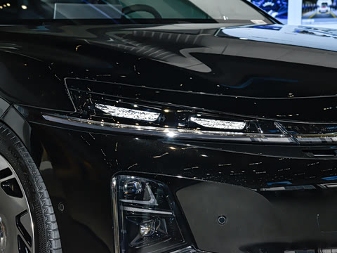 2025�� ������