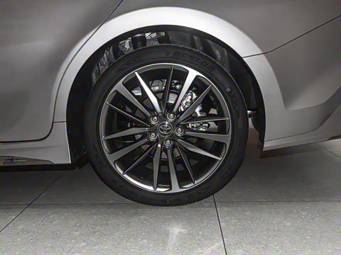 2026�� ˫�� 2.5HXS �˶�Plus��