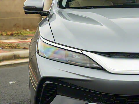 2026�� DM-i 133KM��Խ��