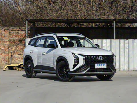 2026�� ��� 2.0L ������DLX