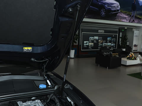 2025�� �Ŀ� 2.0TSI ��Ӱ��
