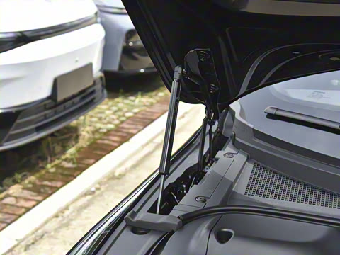 2026�� ������������� 730������