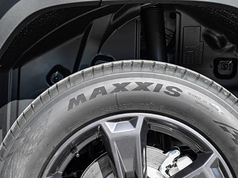 2025�� 2.0T 4WD Pro