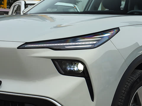 2025�� 565km ������