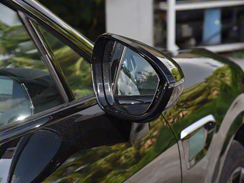 2025�� Max �����