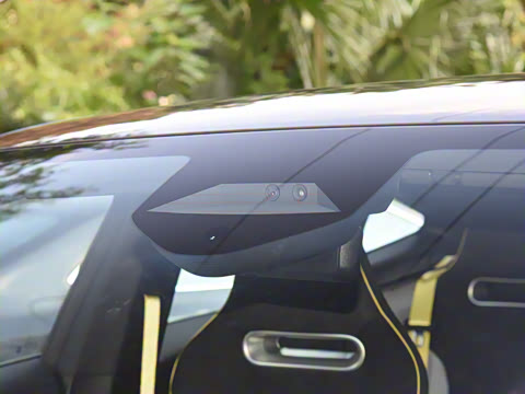 2025�� Max �����