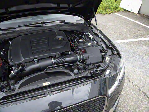 2025�� 2.0T P250 ��������������